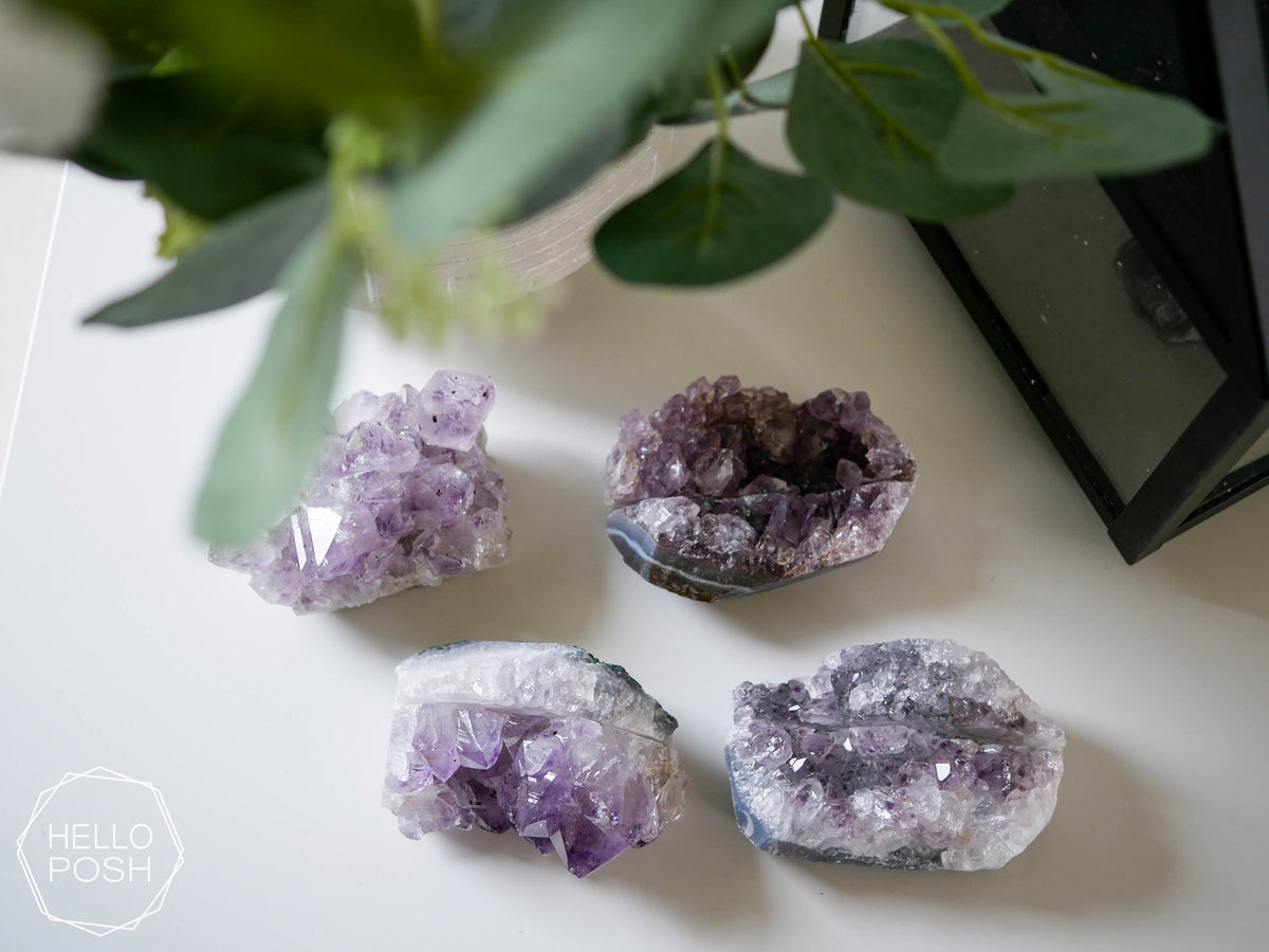 Amethyst Card Holders